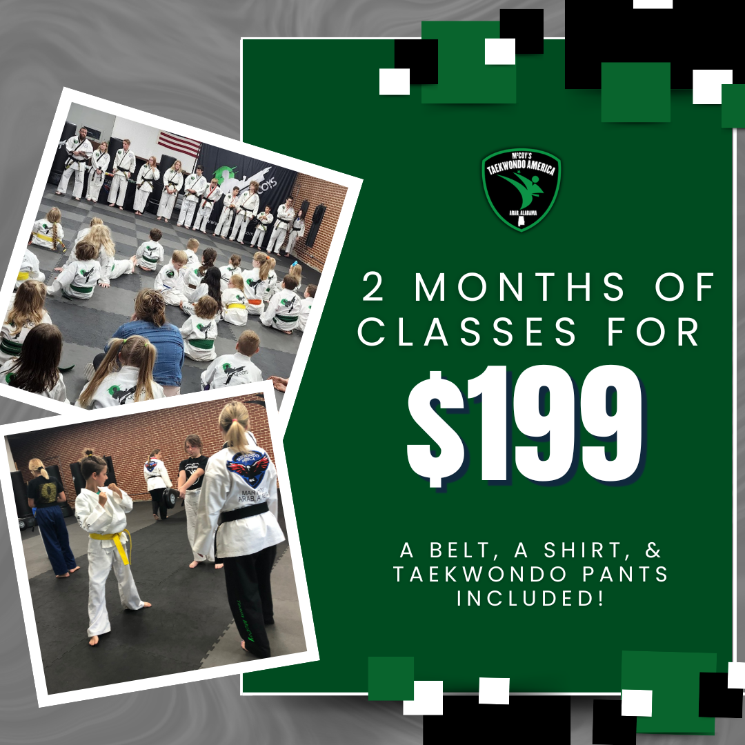 McCoy's Taekwondo America and Krav Maga Facebook ad: Special Offer: 2 Months TKD for $199!