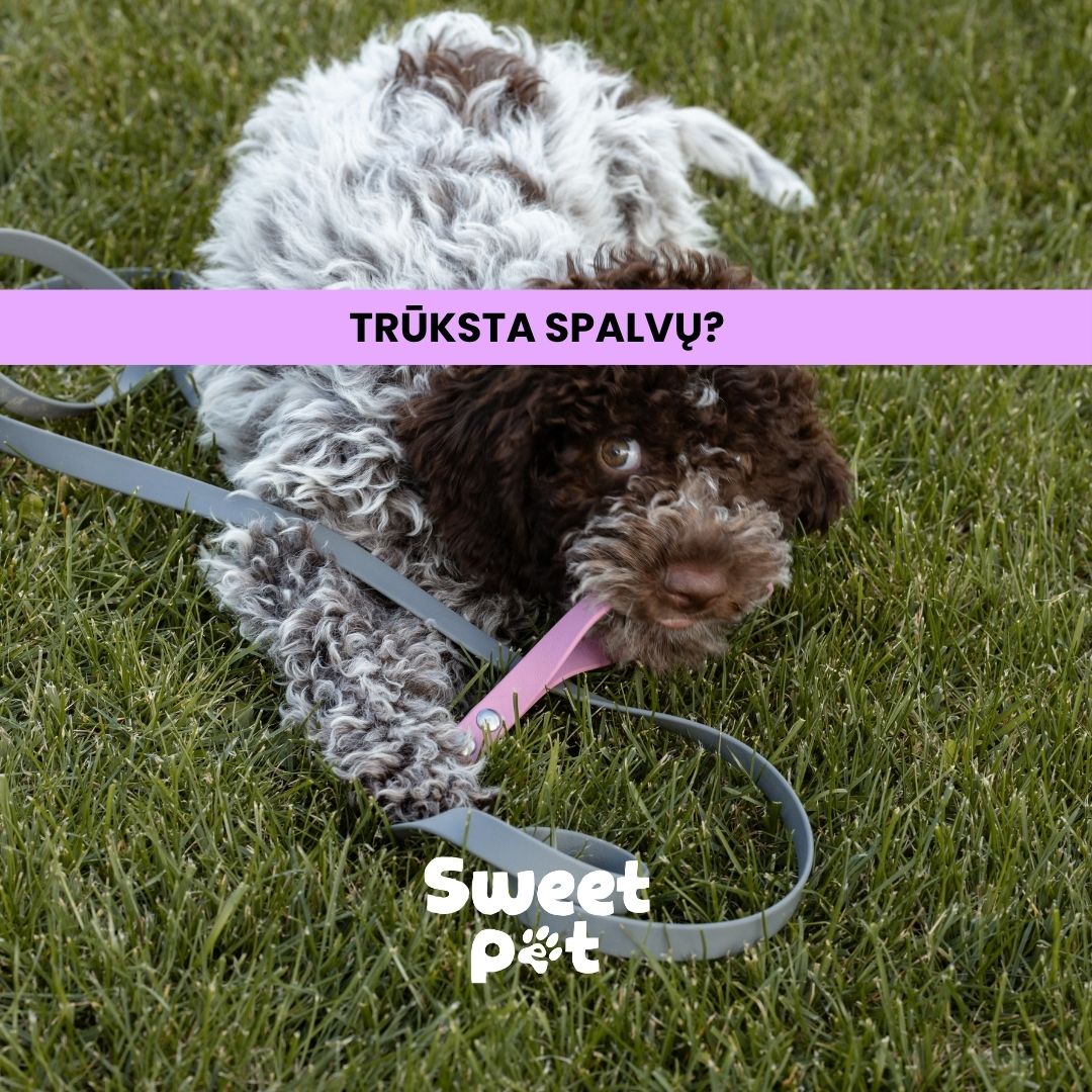 Sweet Pet Facebook ad: -20% NUOLAIDA + DOVANOS