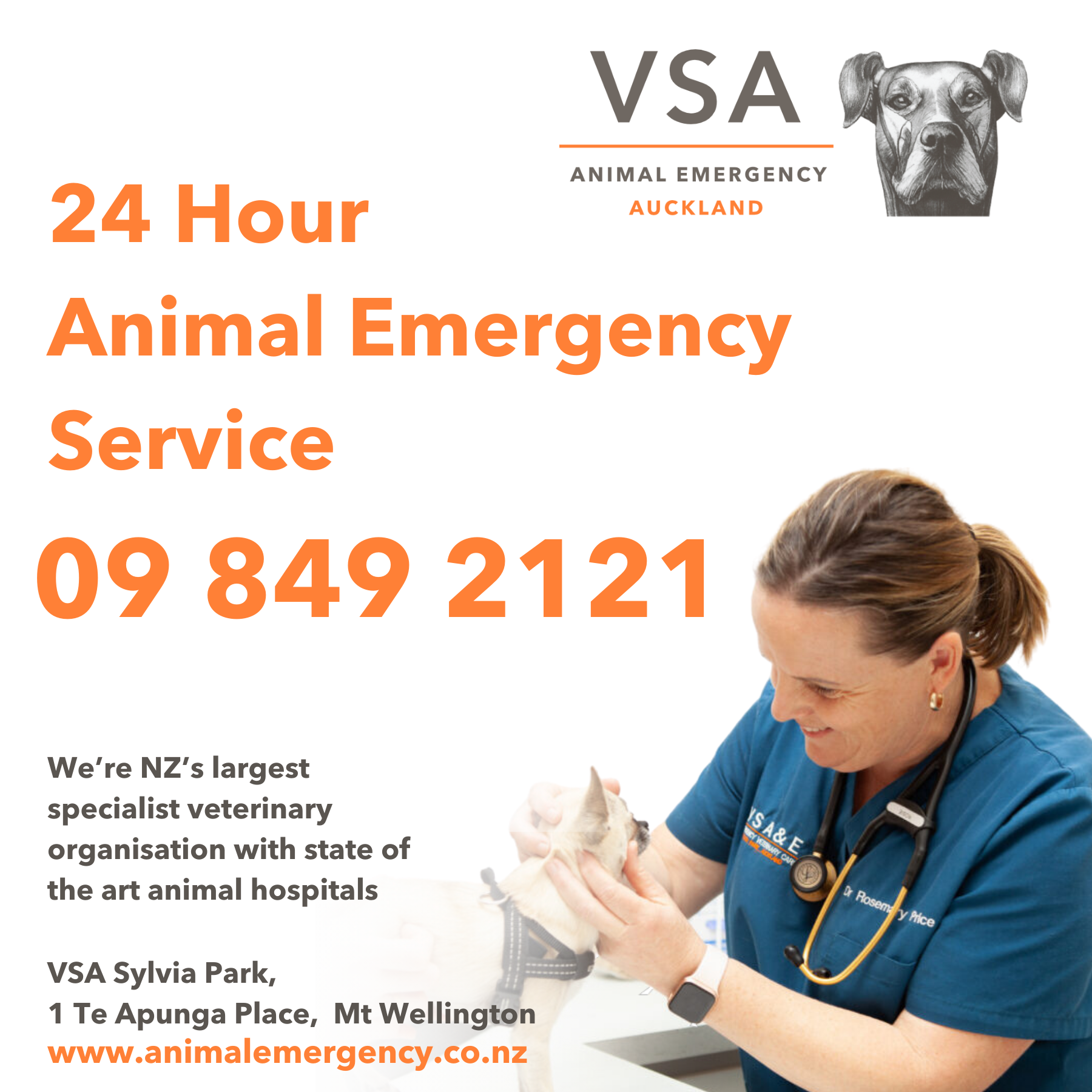 Veterinary Specialists Aotearoa Facebook ad