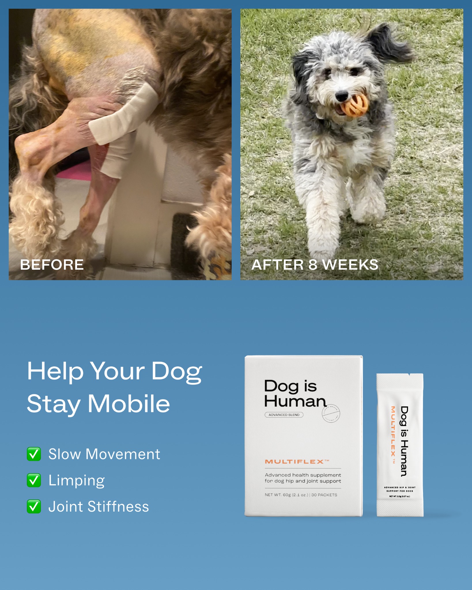 Dog is Human Facebook ad