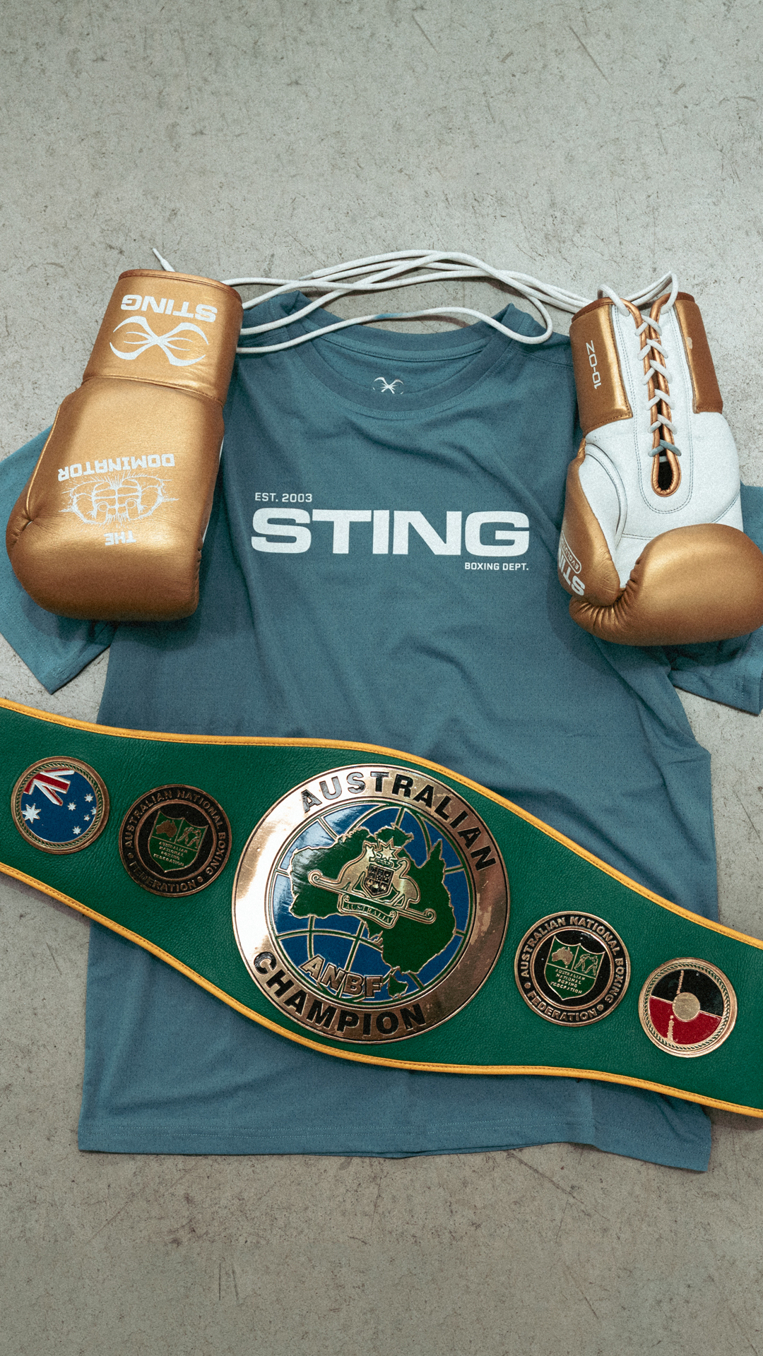 Sting Sports Facebook ad from Oct 26, 2025