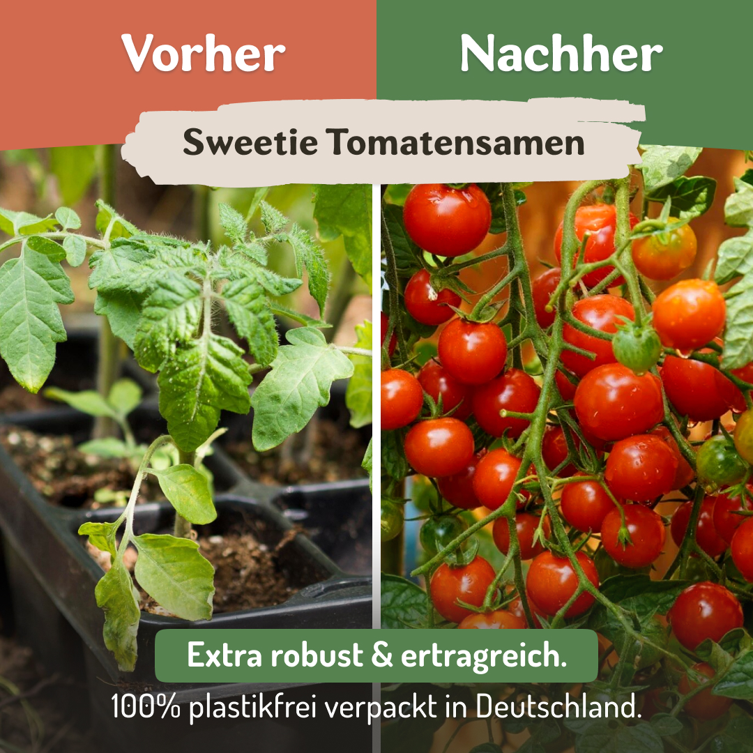 Samenfritze Facebook ad
