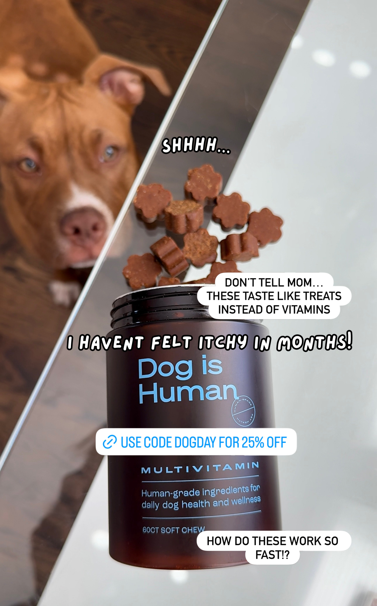 Dog is Human Facebook ad