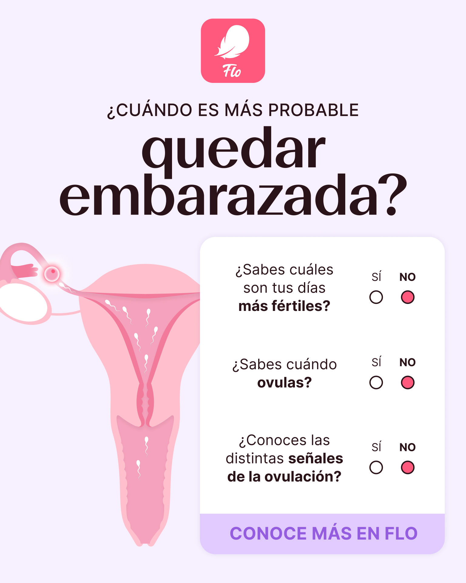 Flo Español Facebook ad