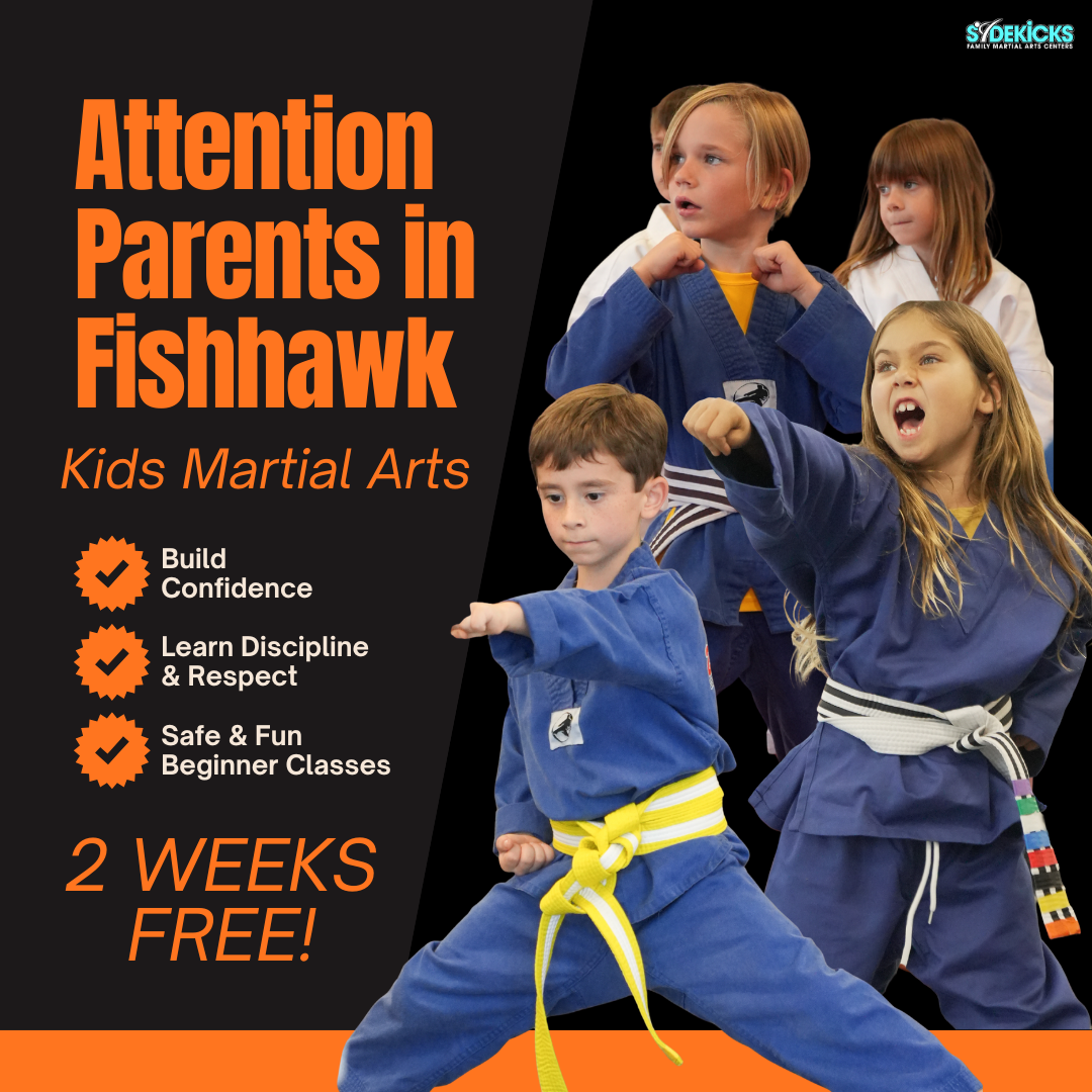 Sidekicks Family Martial Arts Center Facebook ad