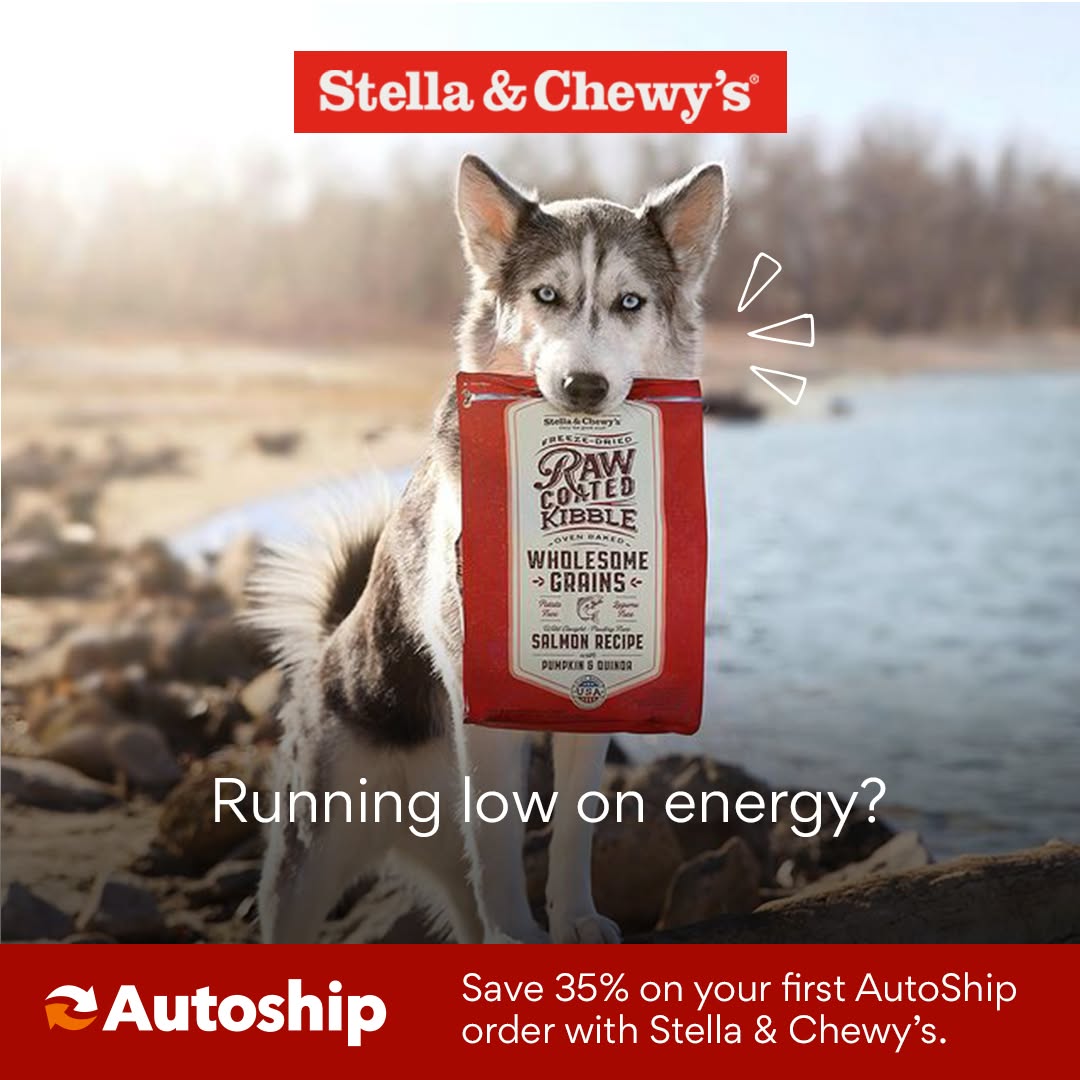Chewy Facebook ad