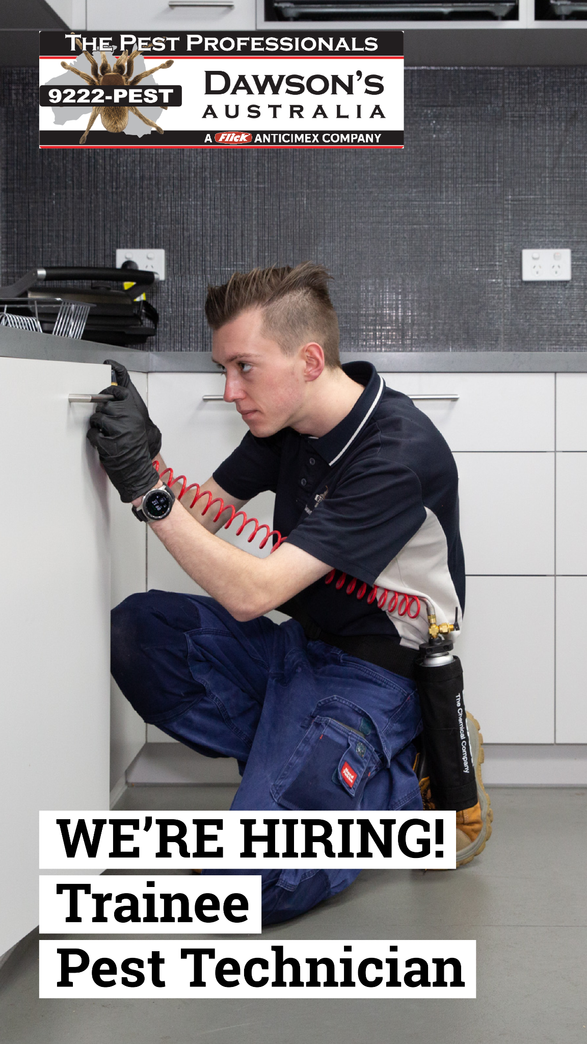 Dawson's Australia Pest Control Facebook ad