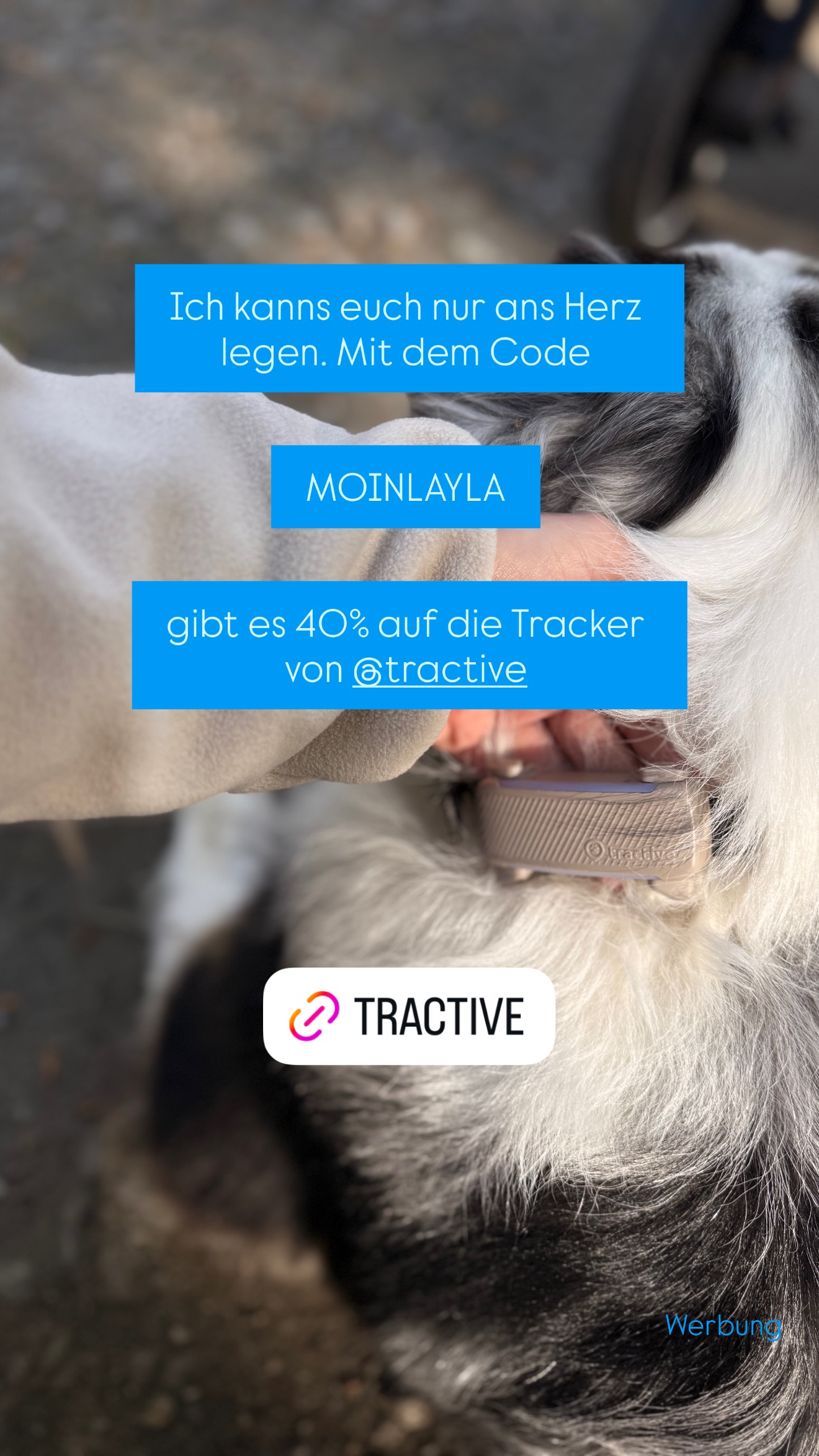 moin.layla Facebook ad