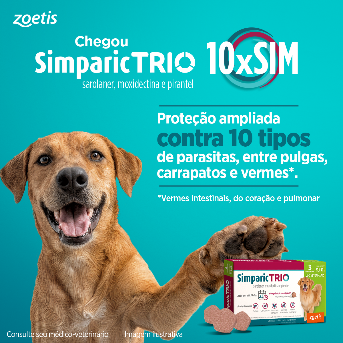 Zoetis Pets Brasil Facebook ad