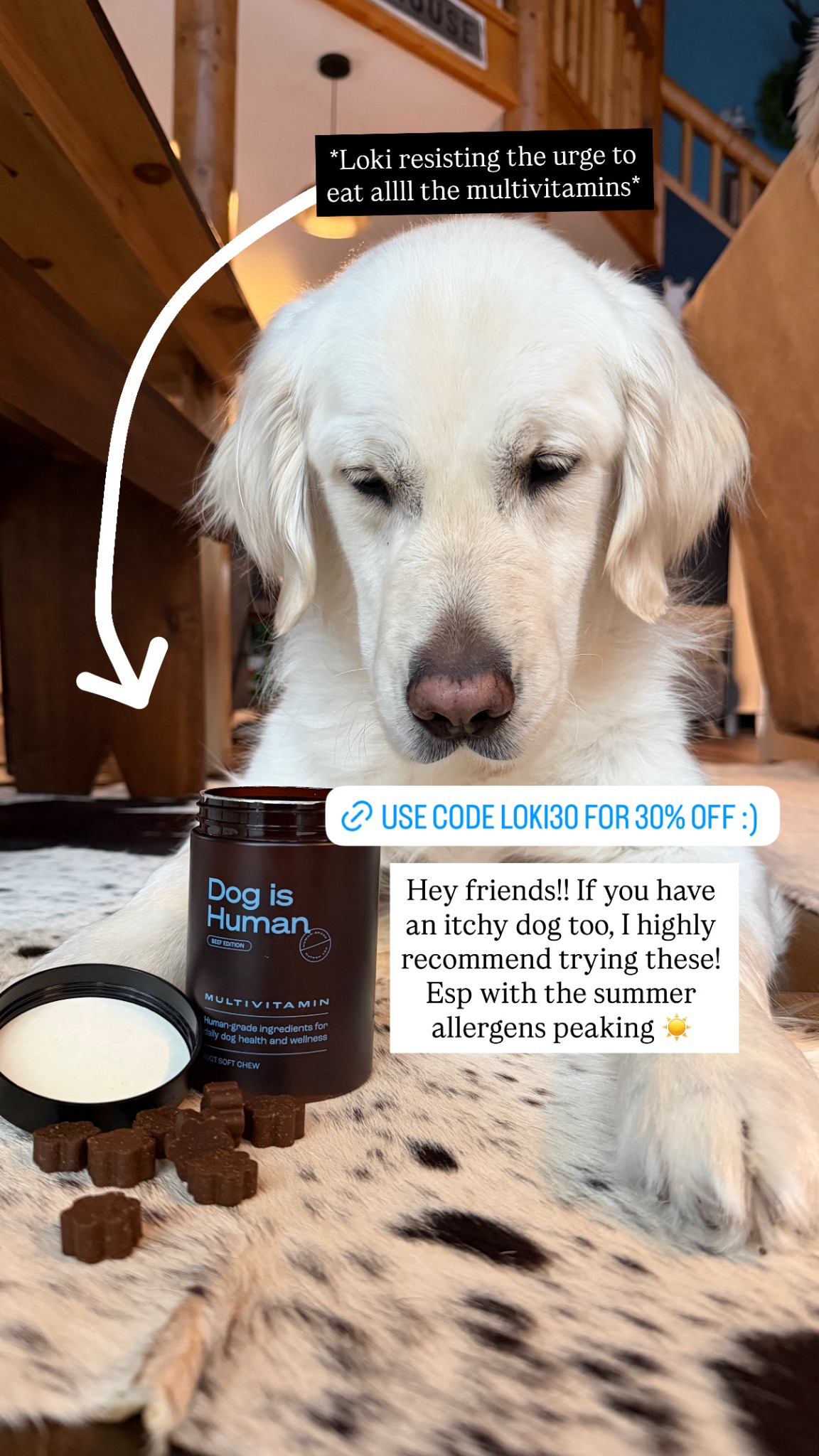 Dog is Human Facebook ad