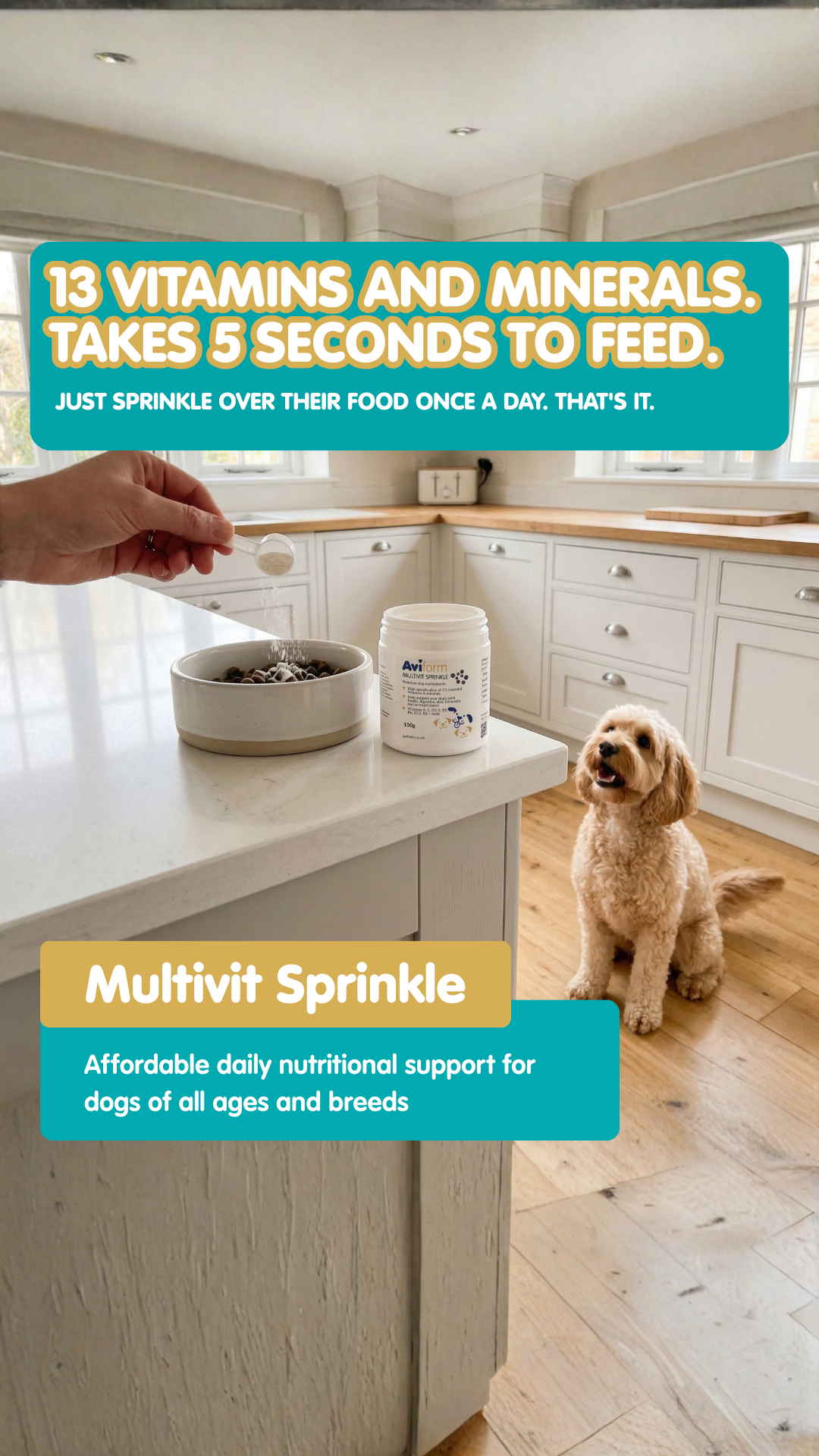 Aviform Nutrition UK - Horse & Dog Facebook ad