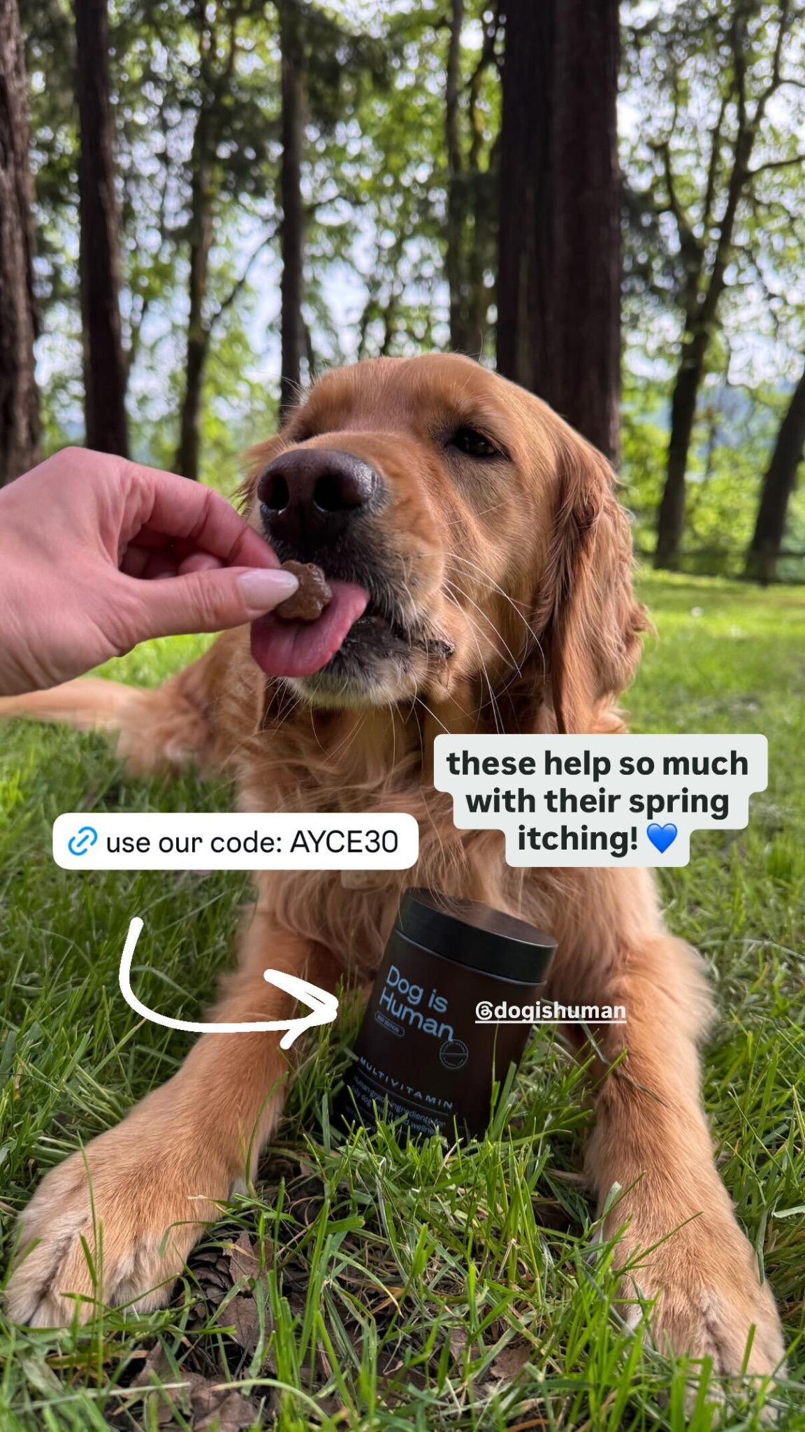 Dog is Human Facebook ad