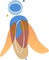 Wellness Courses