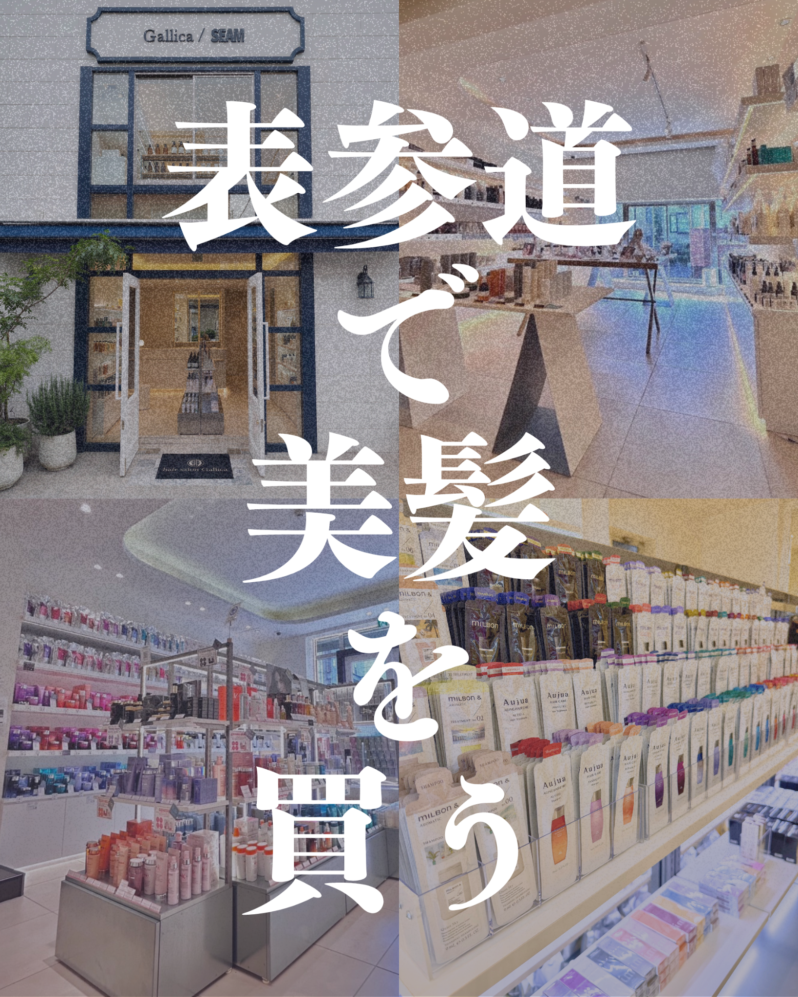株式会社hanico Facebook ad: Aujua、milbon、TOKIO、KERASTASEなど、サロン専売ヘアケアを実際に見て、選べるSEAM。