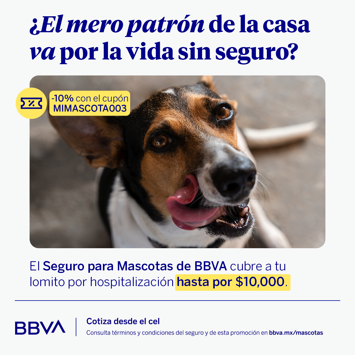 BBVA Seguros México Facebook ad from Jul 10, 2026