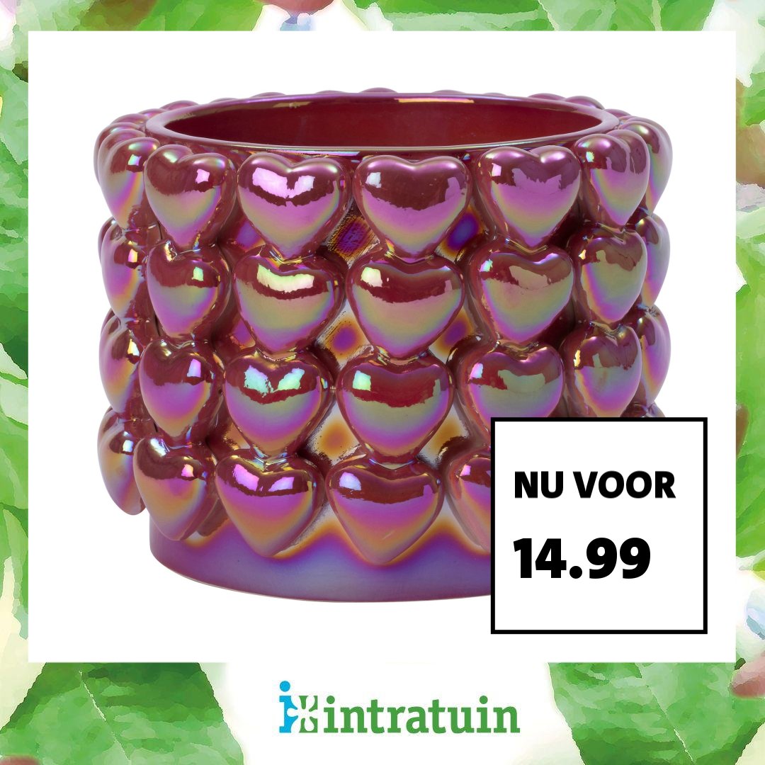 Intratuin Facebook ad