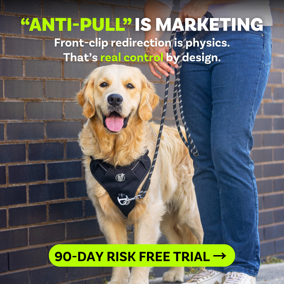 PawSafe Facebook ad