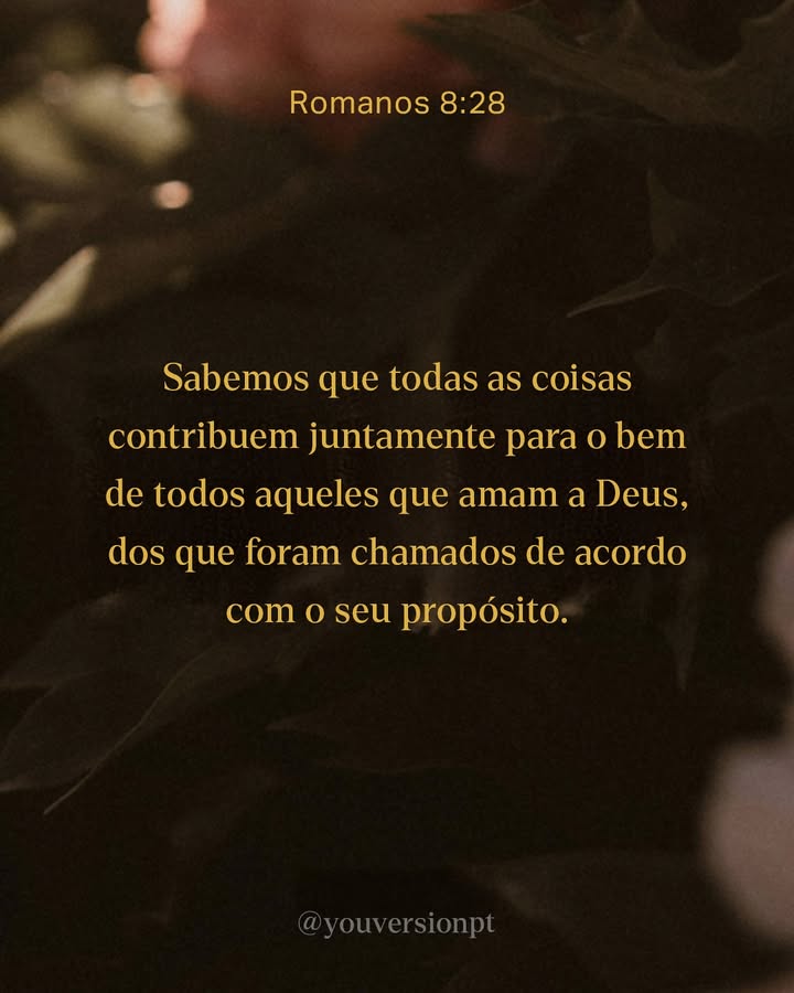 YouVersion Português Facebook ad