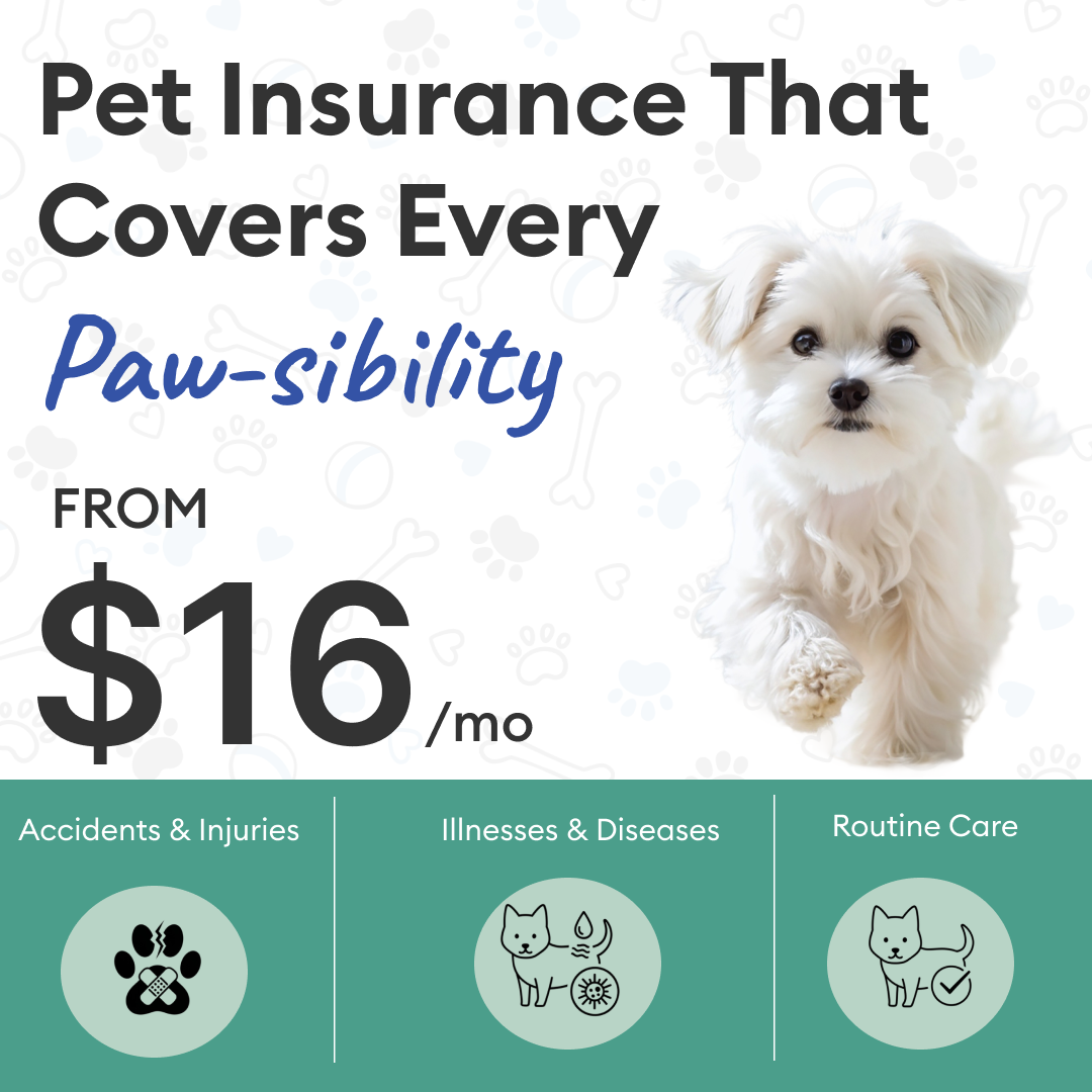 Forbes Advisor Facebook ad