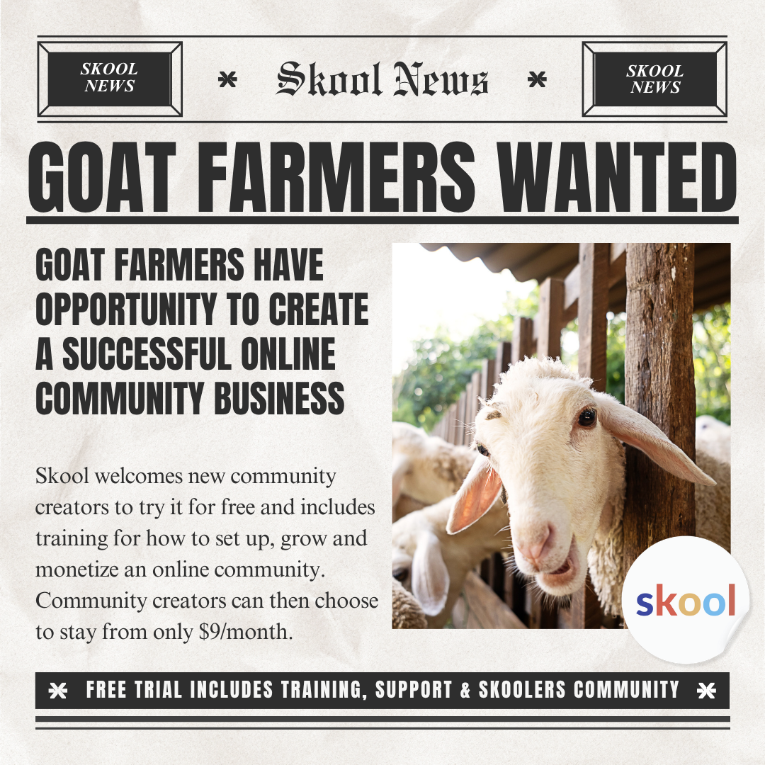 Skool Facebook ad