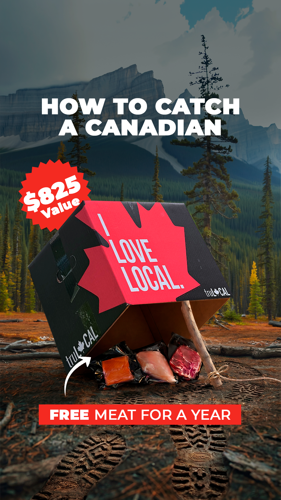 truLOCAL Facebook ad