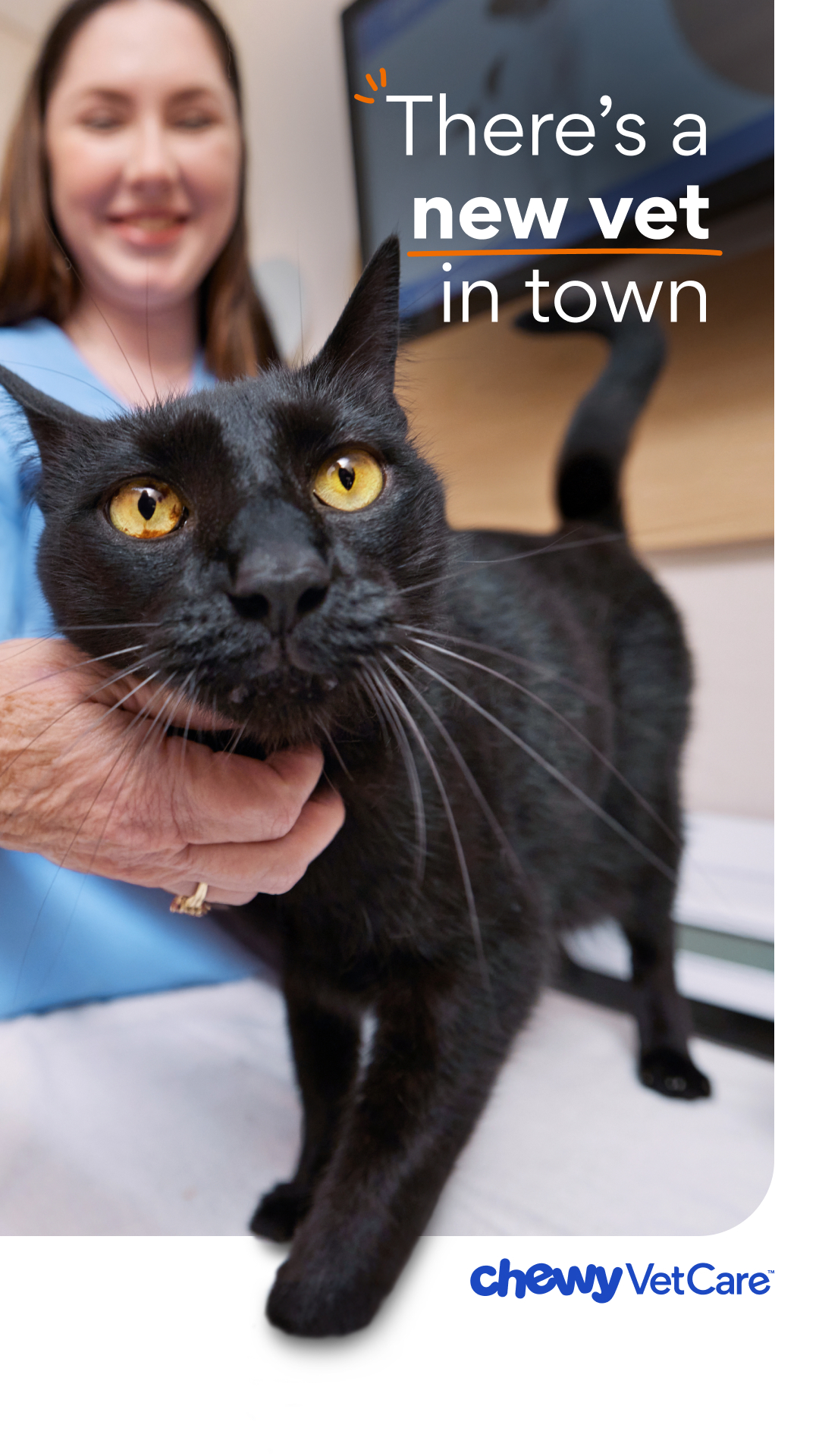 Chewy Vet Care Facebook ad