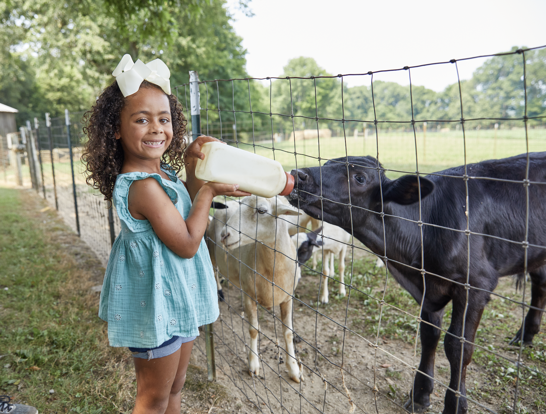 Christian Way Farm, LLC Facebook ad