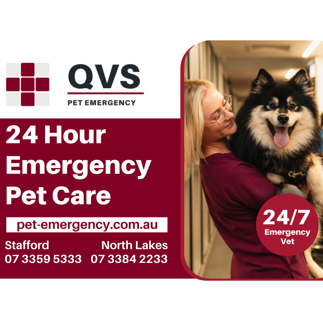 Queensland Veterinary Specialists Facebook ad