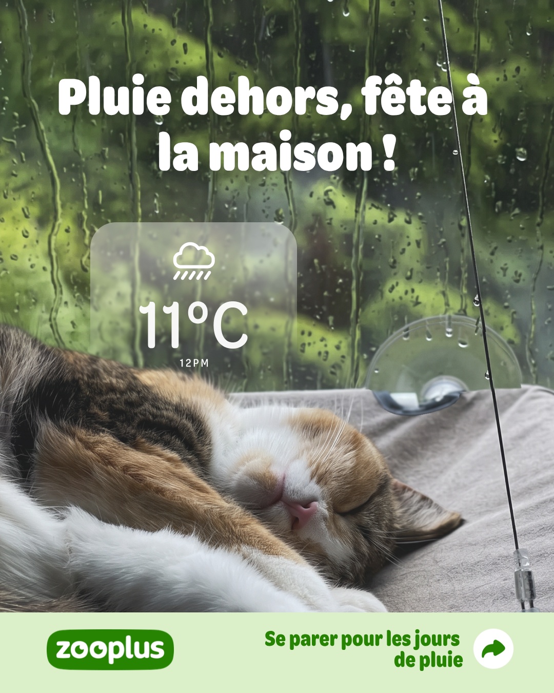 zooplus Facebook ad: Couchages pour chat - Panier, lit et couverture pas cher