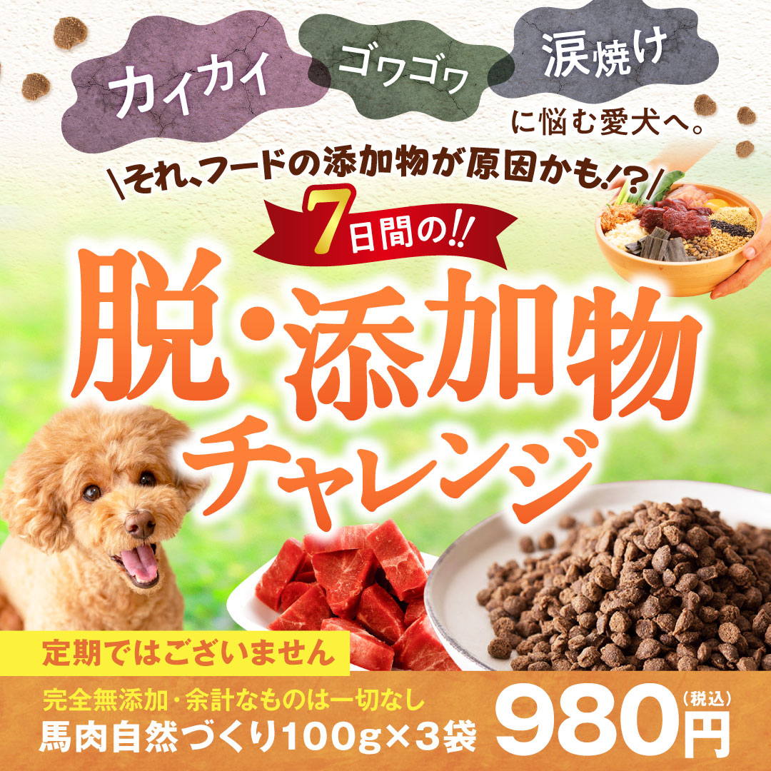 健康いぬ生活 Facebook ad