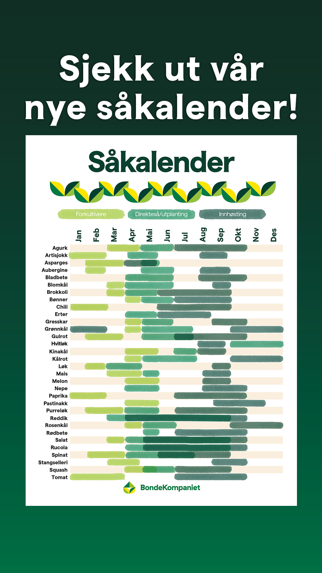 BondeKompaniet Facebook ad from Feb 25, 2026