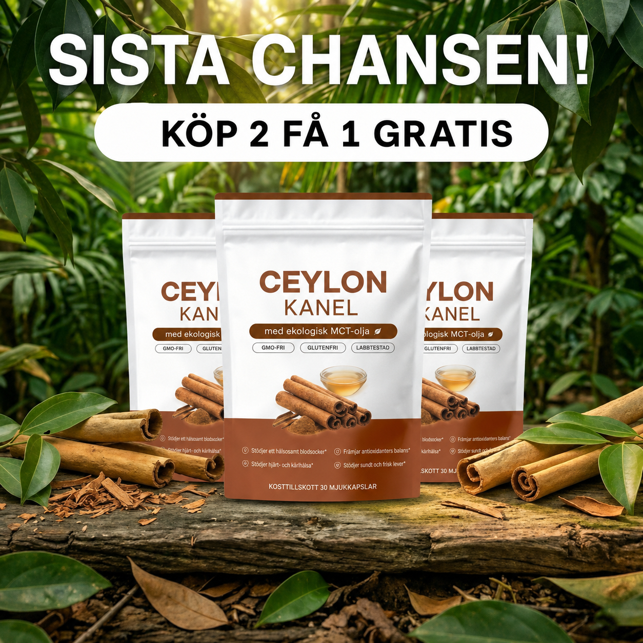 Leiver Garcia Cse Facebook ad