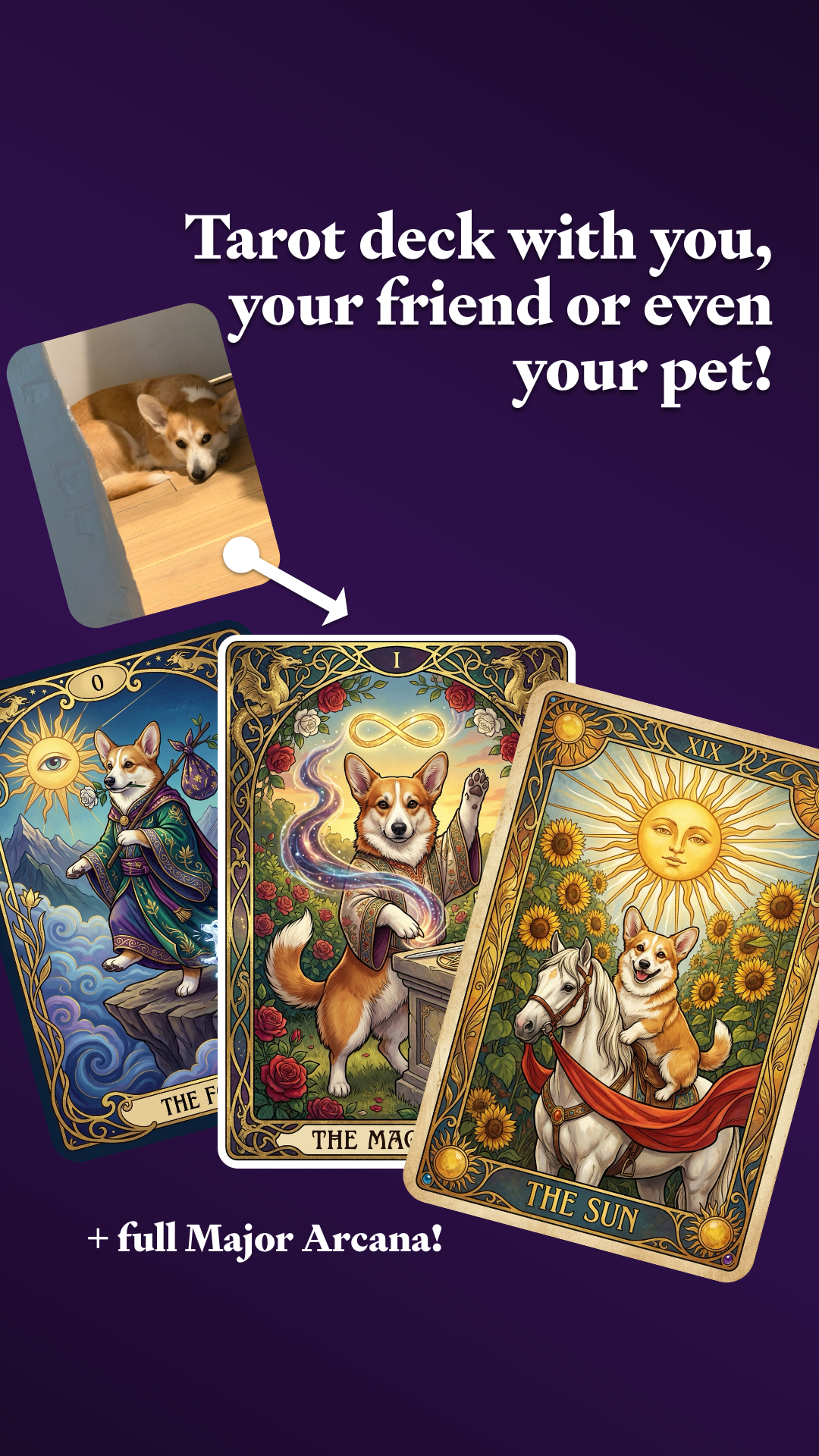 Tails & Cie Facebook ad