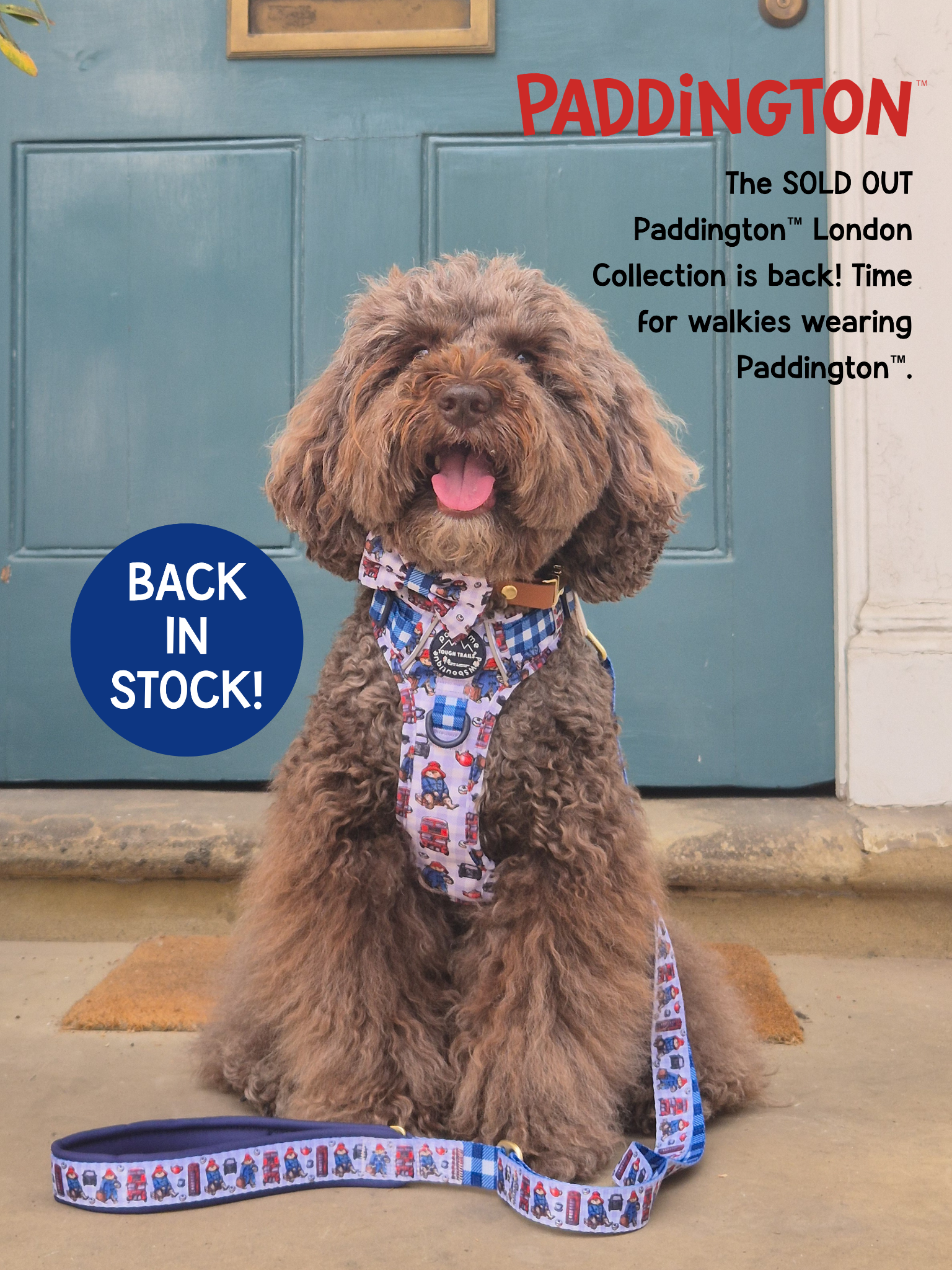 Pawsome Paws Boutique Facebook ad: Spoil them before it's gone.