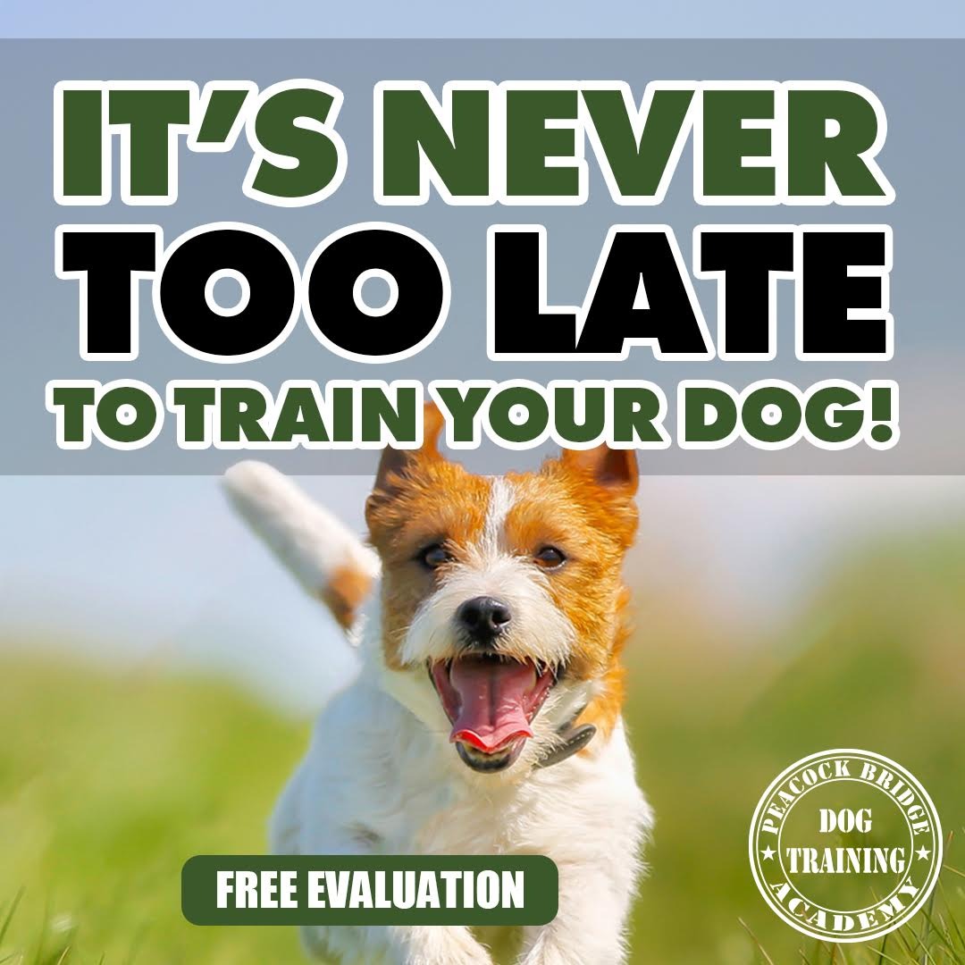 Peacock Bridge Kennels Facebook ad
