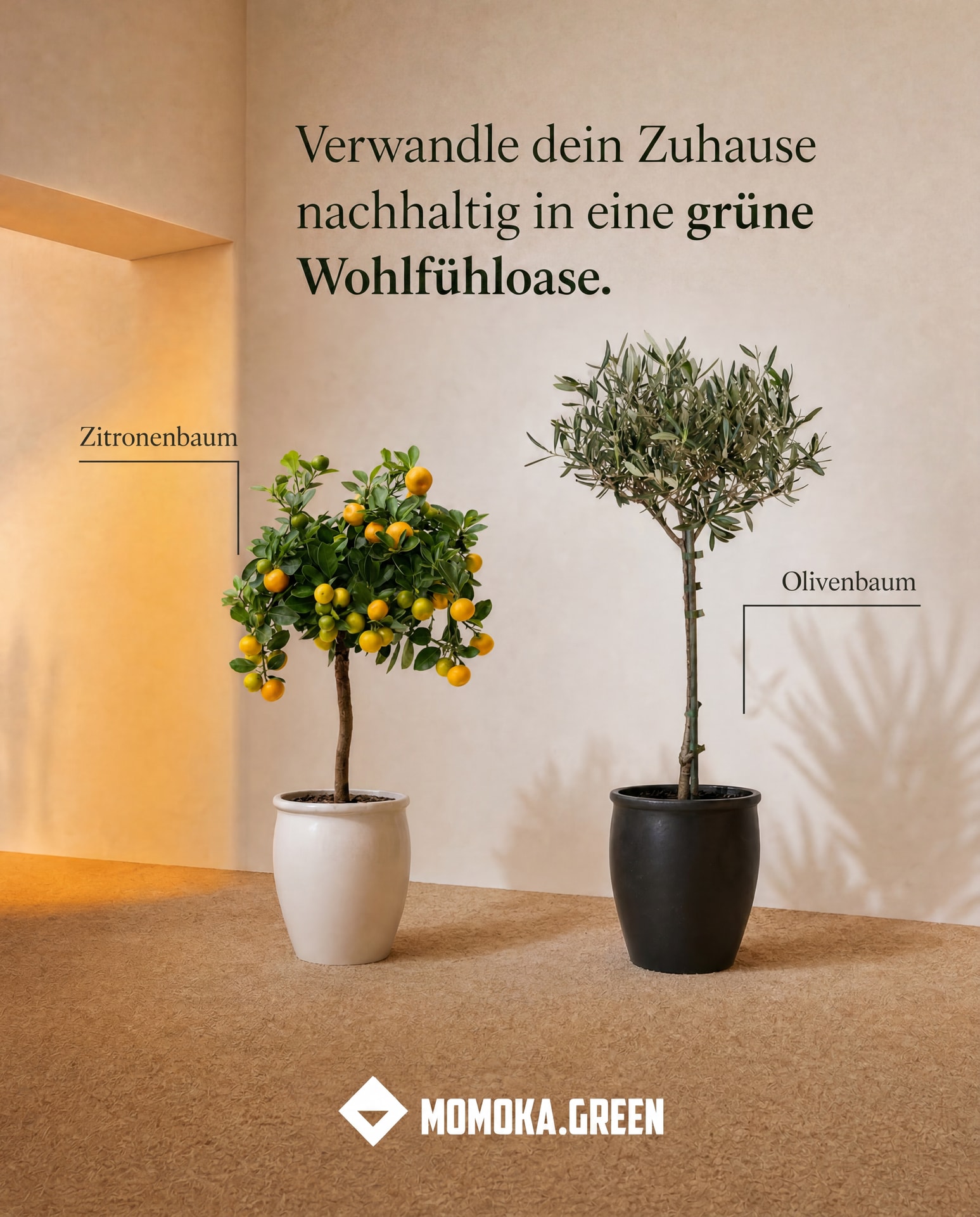 Momoka Green Facebook ad: Deine nachhaltige Pflanzenoase