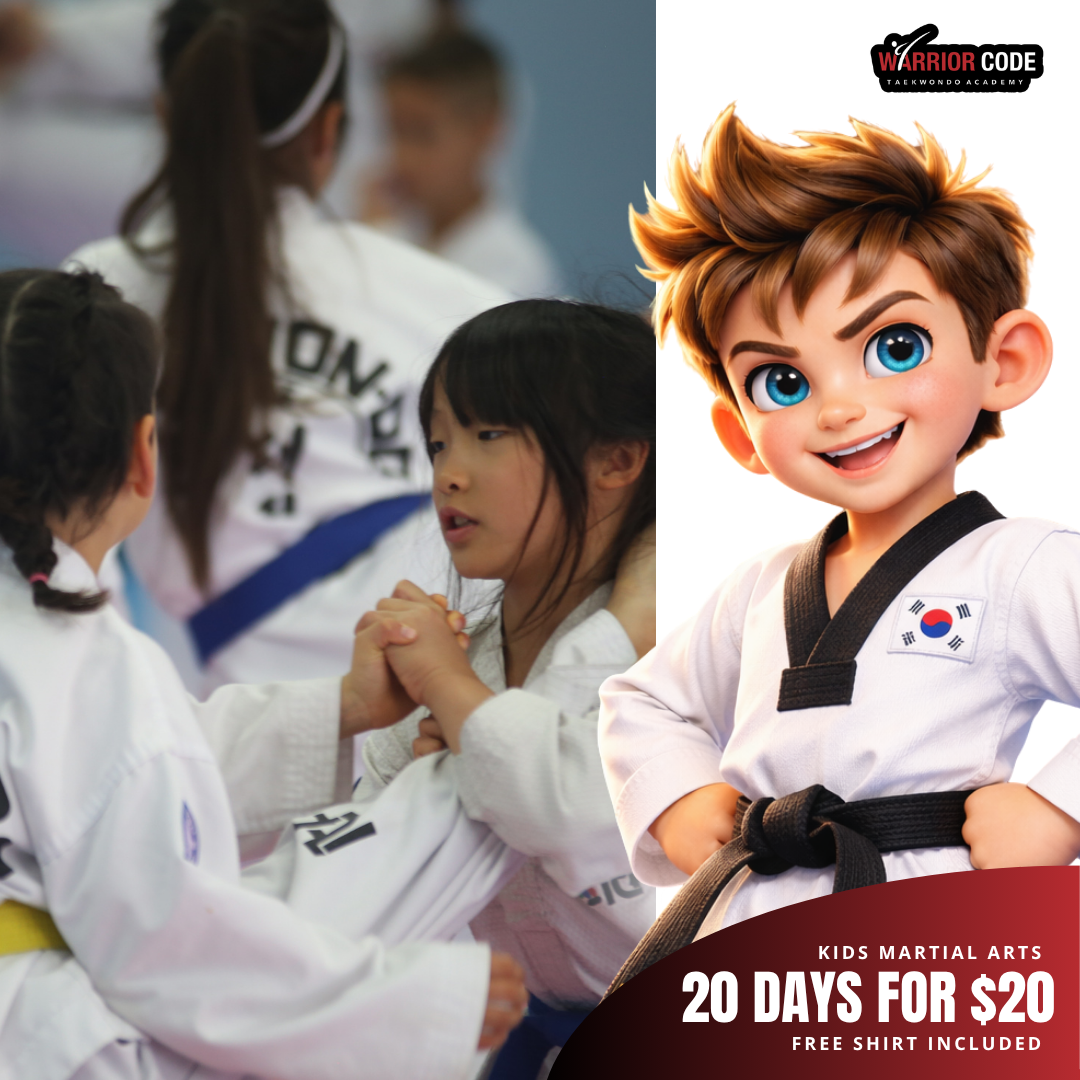 Warrior Code Taekwon-Do Academy Facebook ad