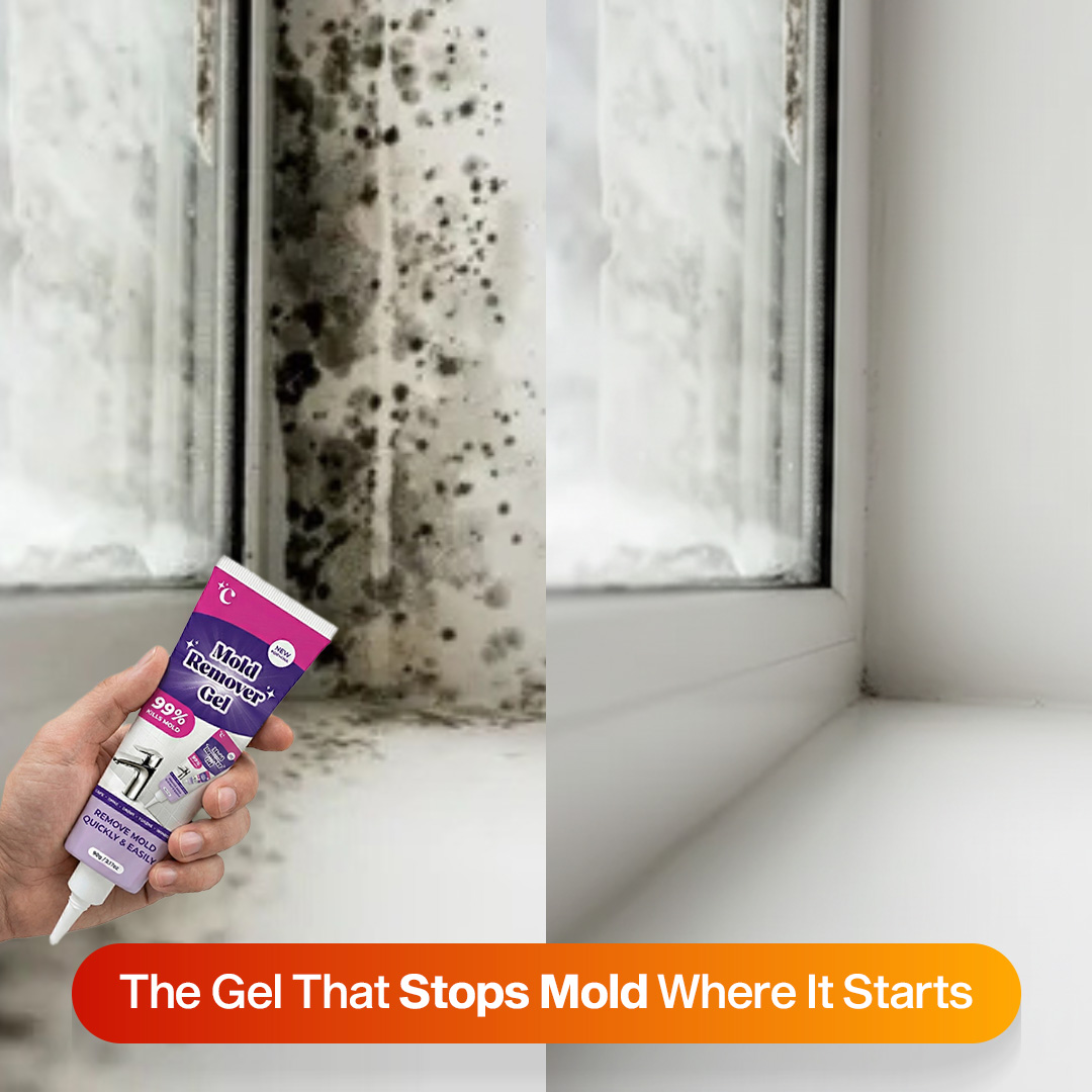 Home Cleaning Hacks Facebook ad: Why Mold Keeps Coming Back