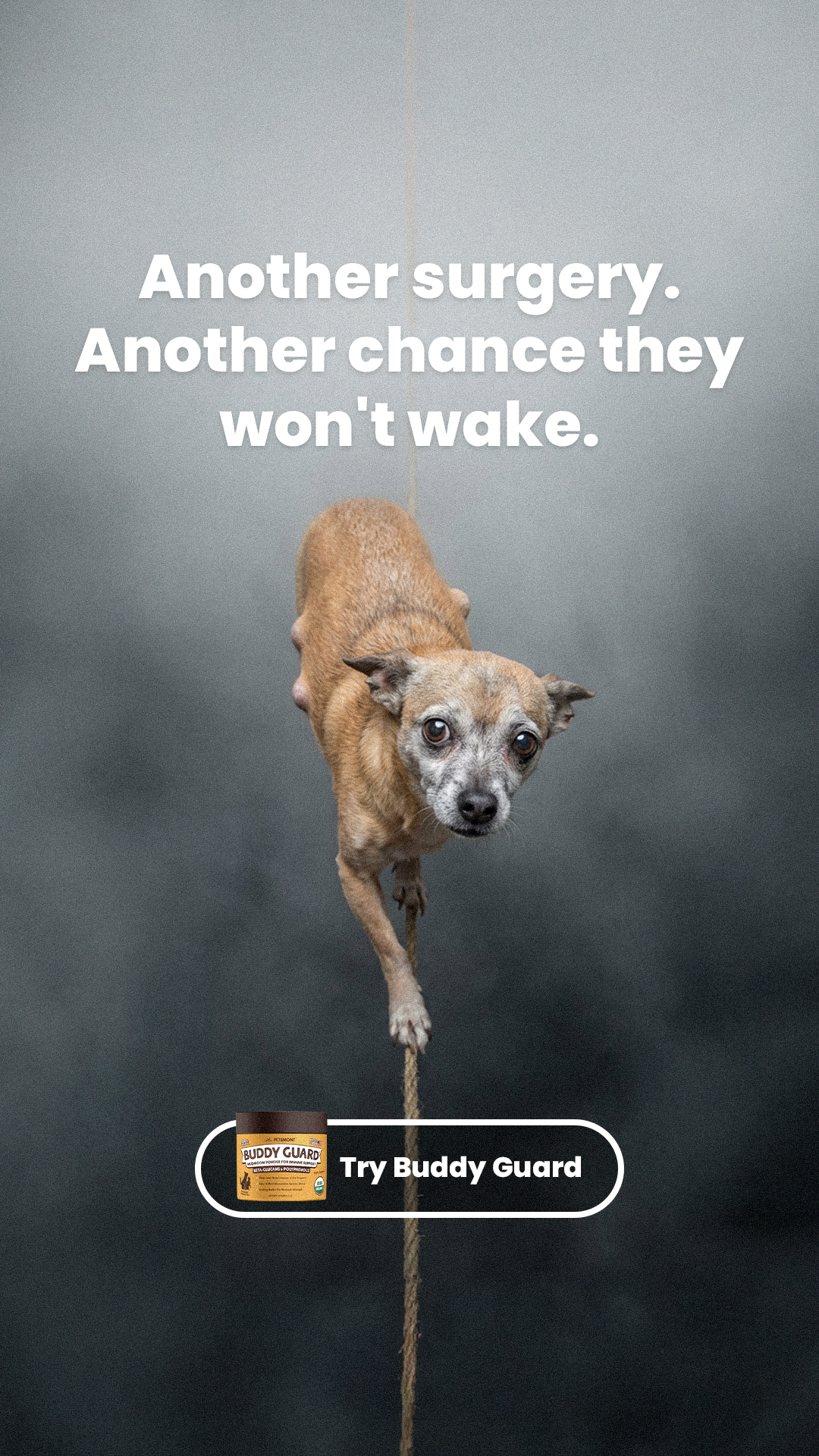 Petsmont Facebook ad