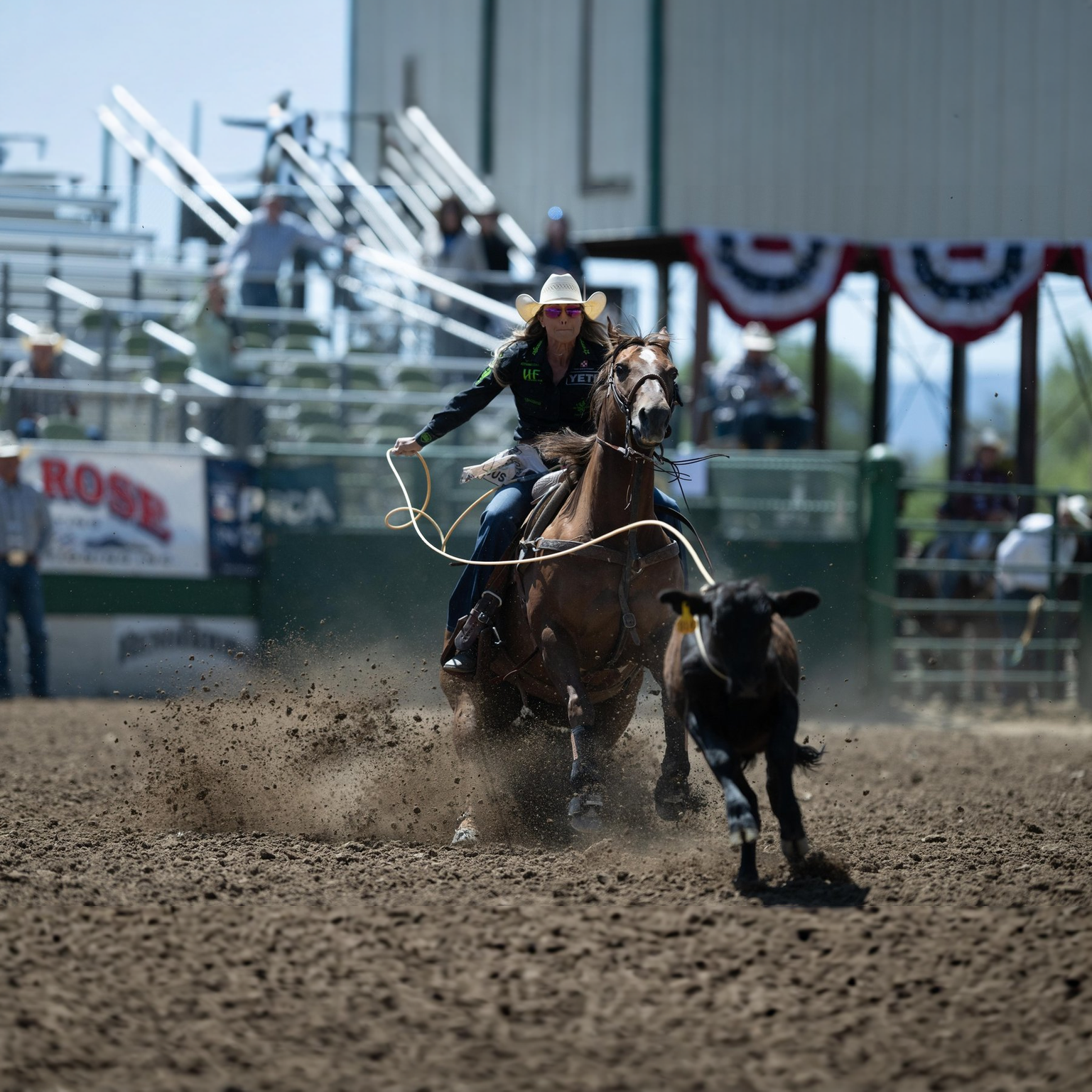 Equine Health Solutions Facebook ad: Training doesn't disappear under pressure. Focus does.