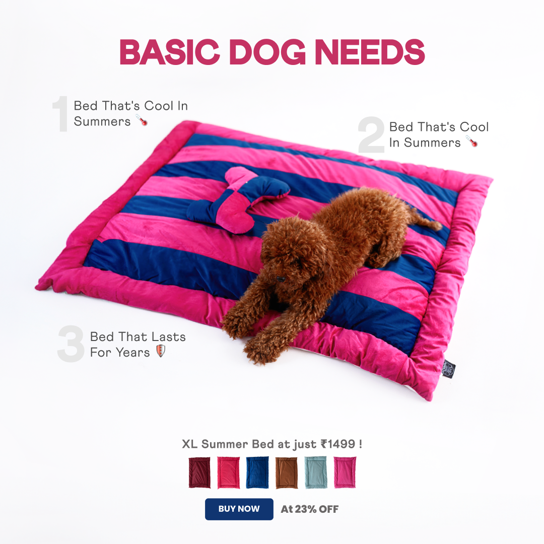 Barks & Wags Facebook ad