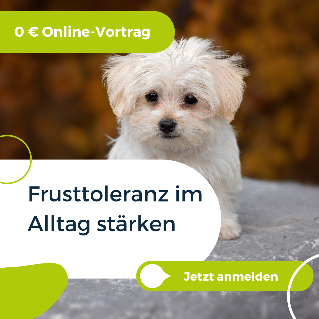 Canis Symposia Facebook ad from Dec 23, 2023