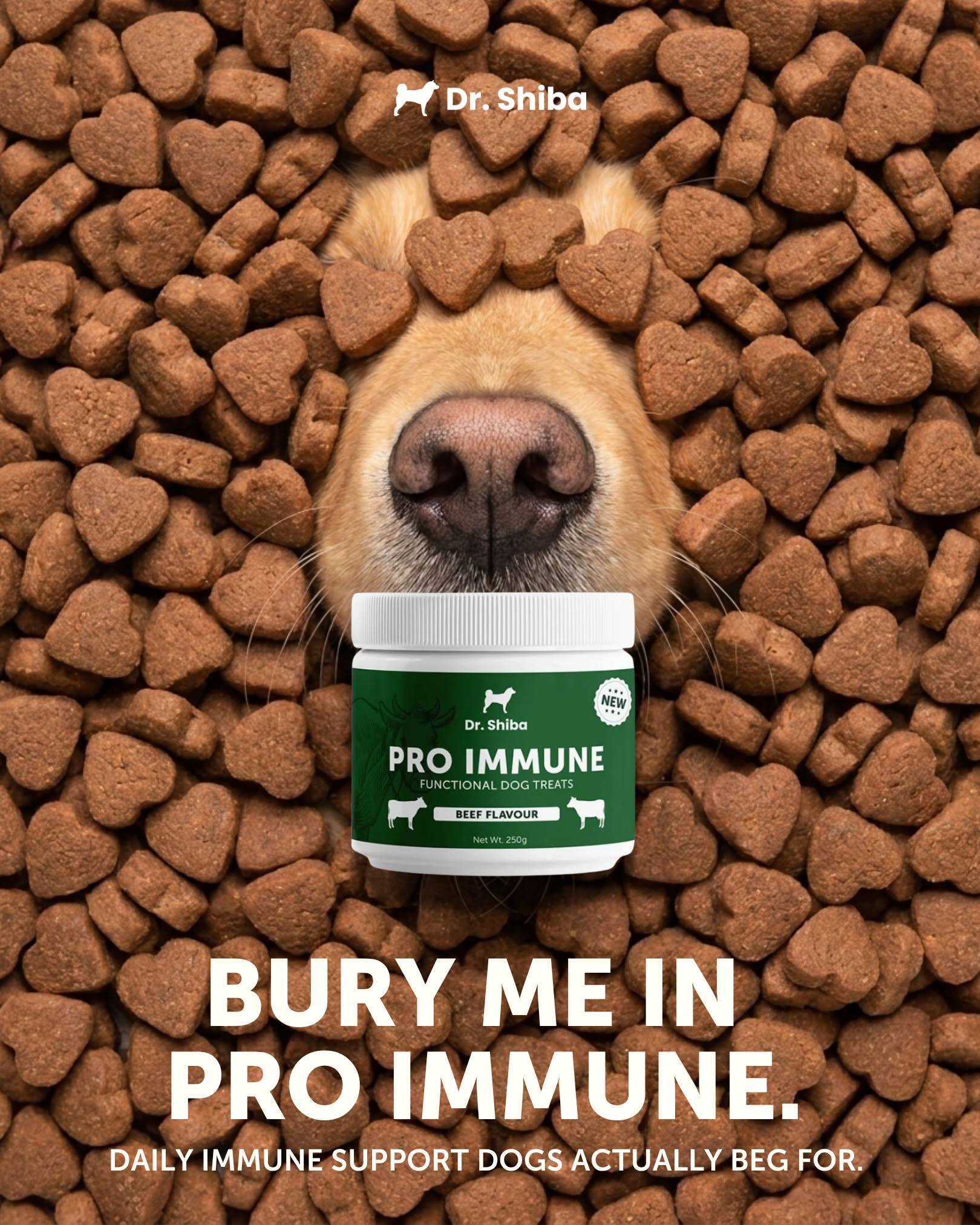 Dr Shiba Facebook ad