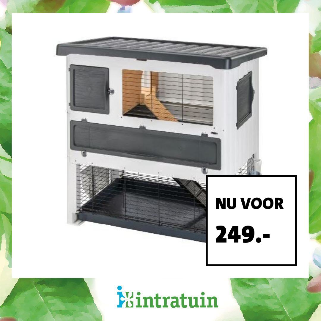 Intratuin Facebook ad