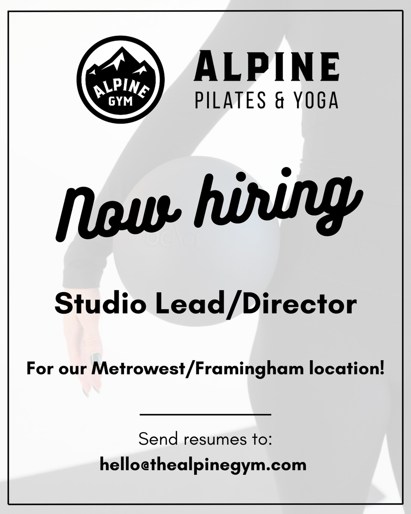 The Alpine Gym Facebook ad: NOW HIRING: STUDIO LEAD / DIRECTOR