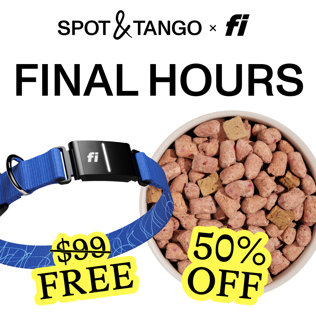 Spot and Tango Facebook ad