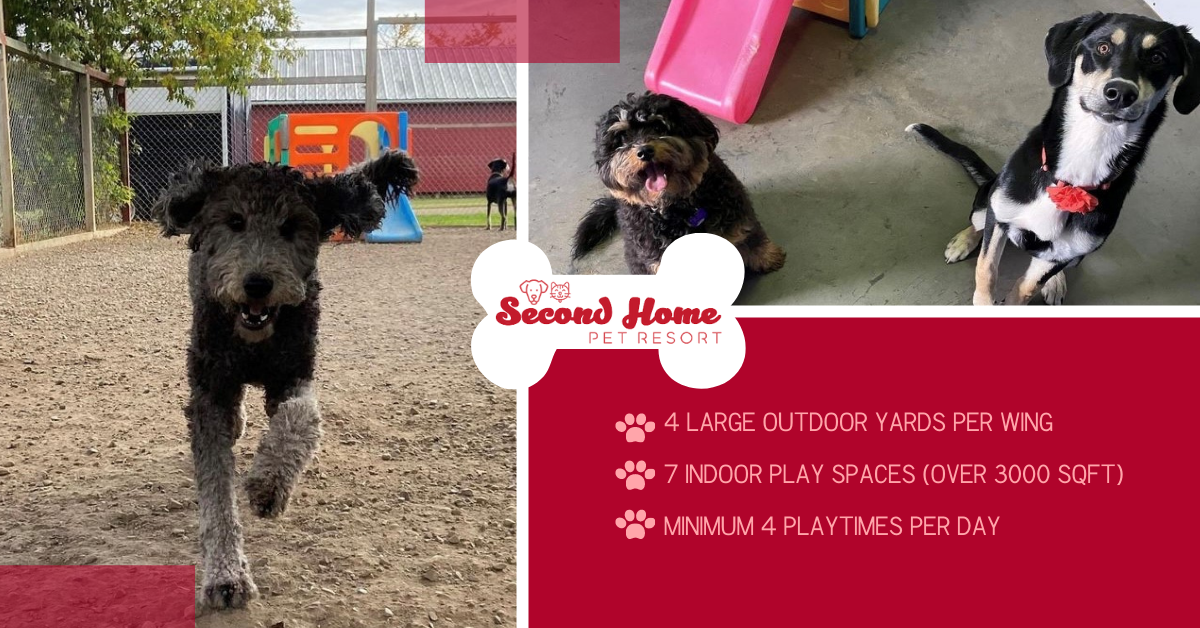 Second Home Pet Resort Leduc Facebook ad: First choice for your pet boarding needs.