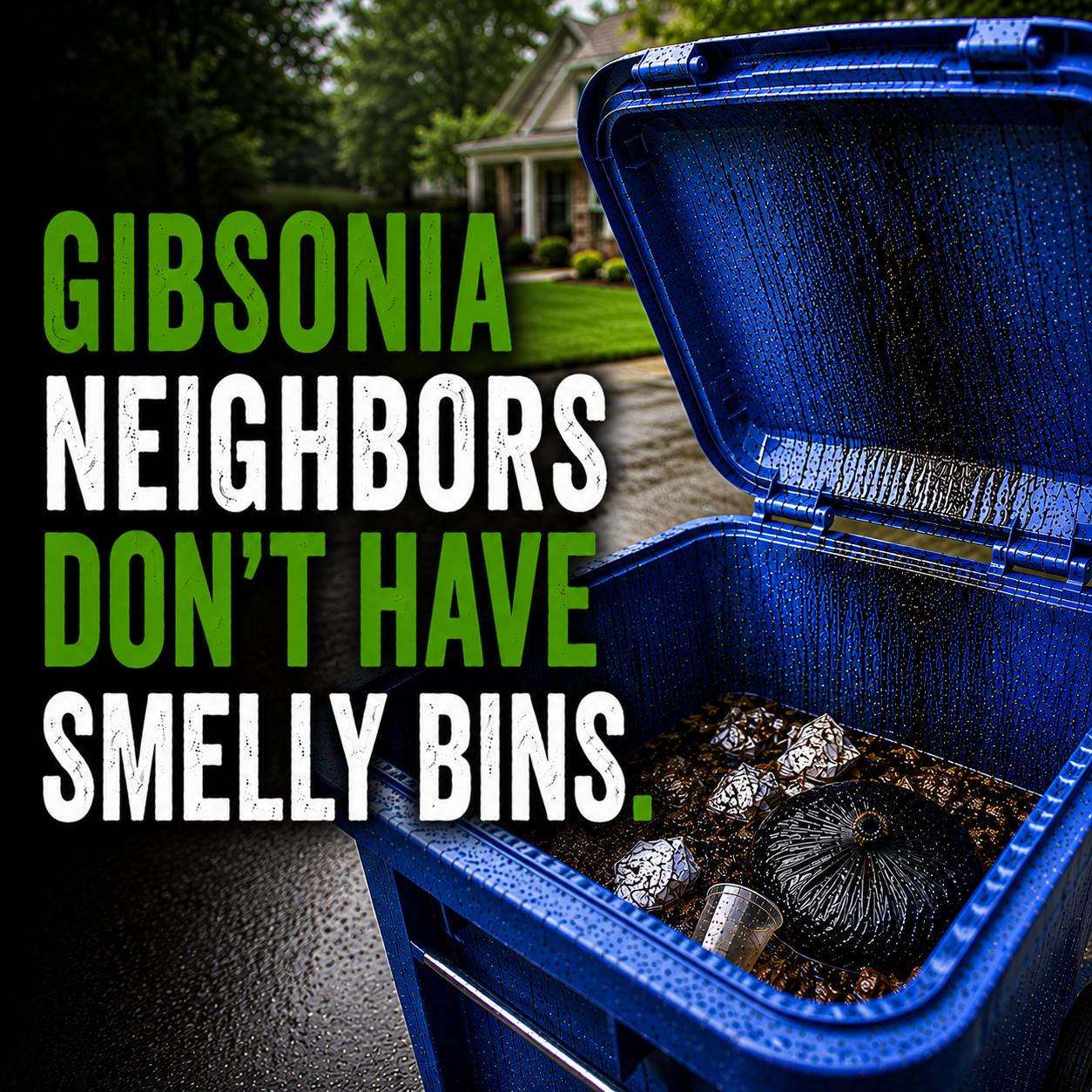 Bin Bath - Trash Bin Cleaning Facebook ad