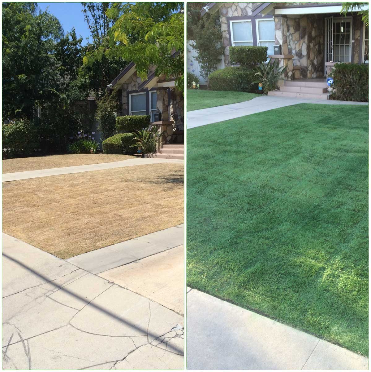 Sarah Miller Facebook ad: Artificial Turf Grass - Commercial Grade!