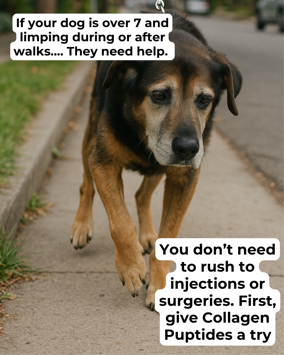 Kayode Facebook ad: Lasting Joint Support For Older Dogs